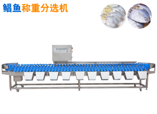 大鯧魚挑檔機(jī),大鯧魚分選機(jī),大鯧魚挑擋機(jī)