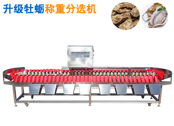 牡蠣升級(jí)稱重分選機(jī)