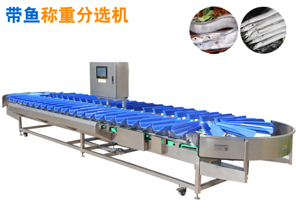 帶魚重量分選機(jī)