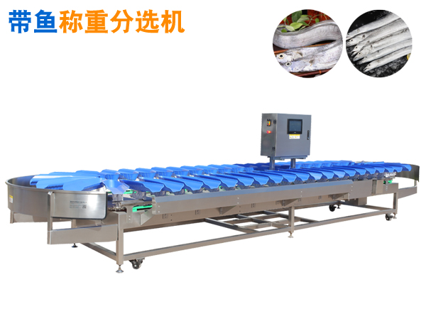 帶魚挑檔機(jī),帶魚分選機(jī),帶魚分級(jí)機(jī)