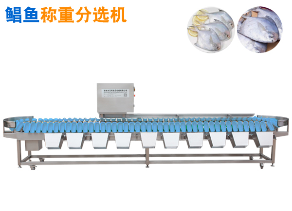 全自動(dòng)稱重定量不銹鋼托盤式鯧魚分選機(jī)挑頭 定制托盤大小