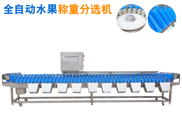 全自動(dòng)水果重量分選設(shè)備