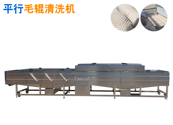 平行毛輥清洗機(jī) 蘿卜毛刷清洗機(jī)