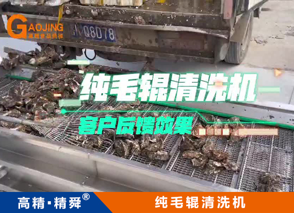 牡蠣純毛輥清洗機(jī) 平行毛輥清洗機(jī)