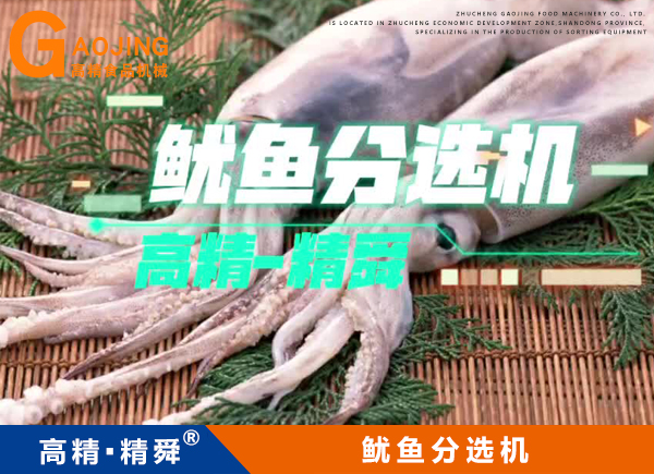 魷魚稱重分選機(jī) 魷魚重量分揀機(jī) 魷魚挑檔機(jī)