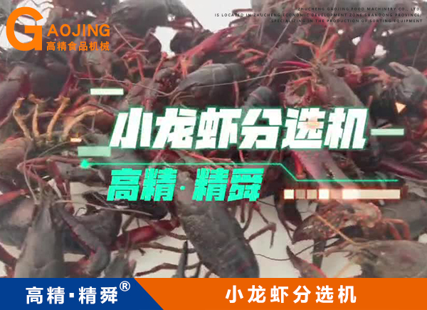 小龍蝦分揀機(jī) 小龍蝦分級(jí)機(jī) 小龍蝦分選機(jī)