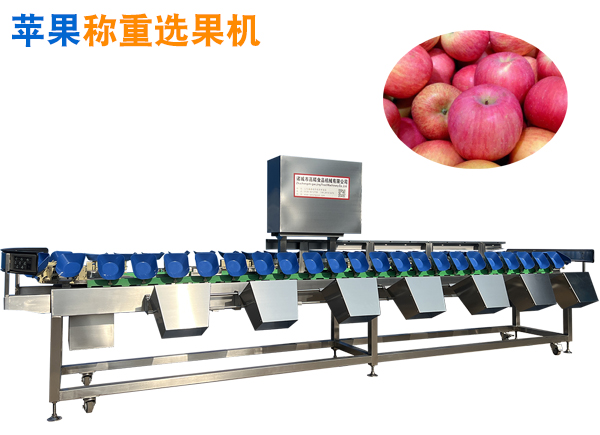 蘋果選果機(jī) 蘋果重量分選機(jī) 蘋果稱重分級(jí)機(jī) 選果機(jī)蘋果加工流水線