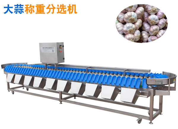 大蒜稱重分選機(jī)甜蒜重量分選機(jī)帶皮臘八蒜分級(jí)機(jī)