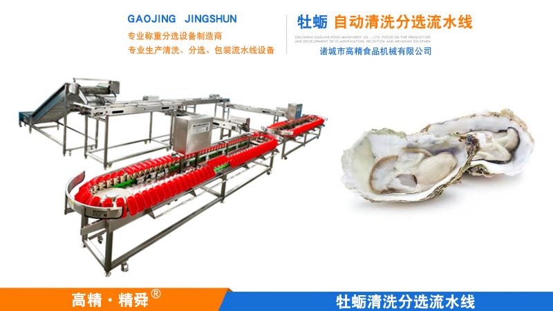 牡蠣自動清洗分選流水線實現(xiàn)自動化生產(chǎn)