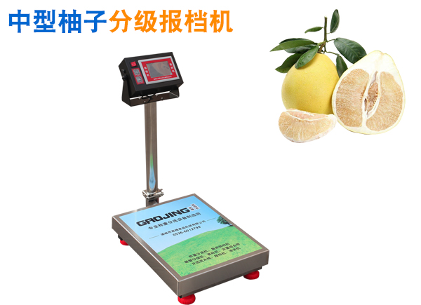 柚子分級(jí)報(bào)檔機(jī) 水果分級(jí)機(jī)  中大型水果分選機(jī) 中大型水果經(jīng)濟(jì)型分揀設(shè)備