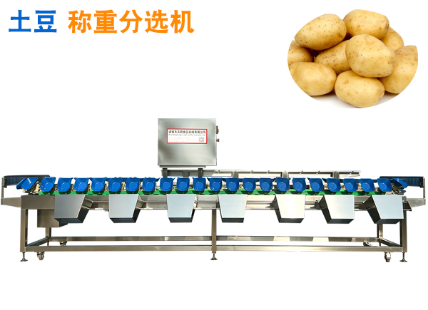 土豆重量分選機 土豆稱重分揀機 蔬菜分果機洋山芋分選機