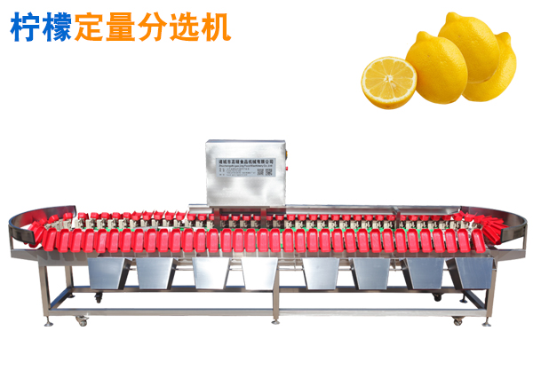 檸檬選果機 檸檬重量分選機  檸檬分揀機 稱重分選機 分級機 選果機